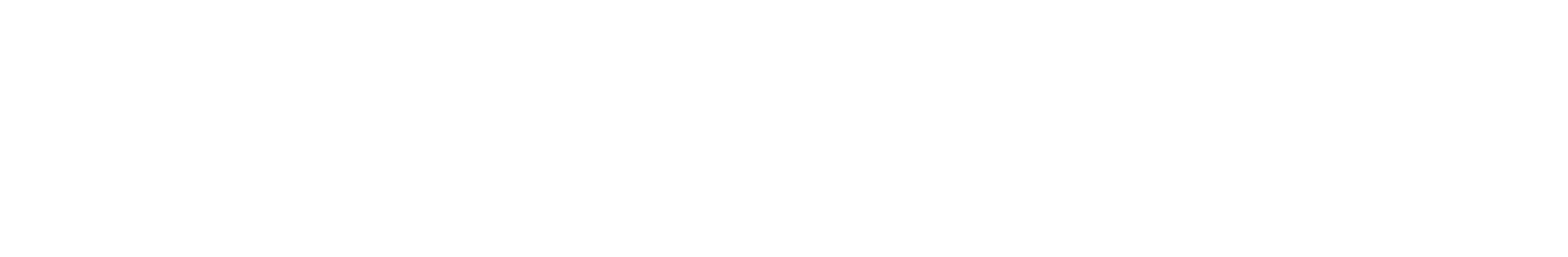 SAENVLAN